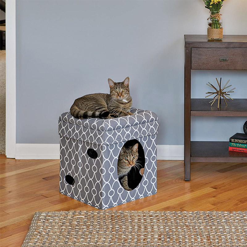 Curious Cat Cube_thumbnail_0