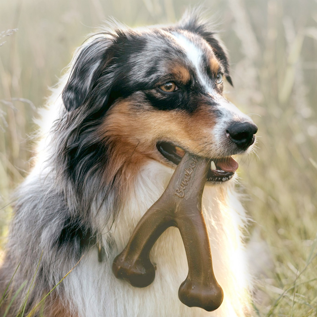 Benebone Wishbone Dog Chew Toy - Bacon_thumbnail_3