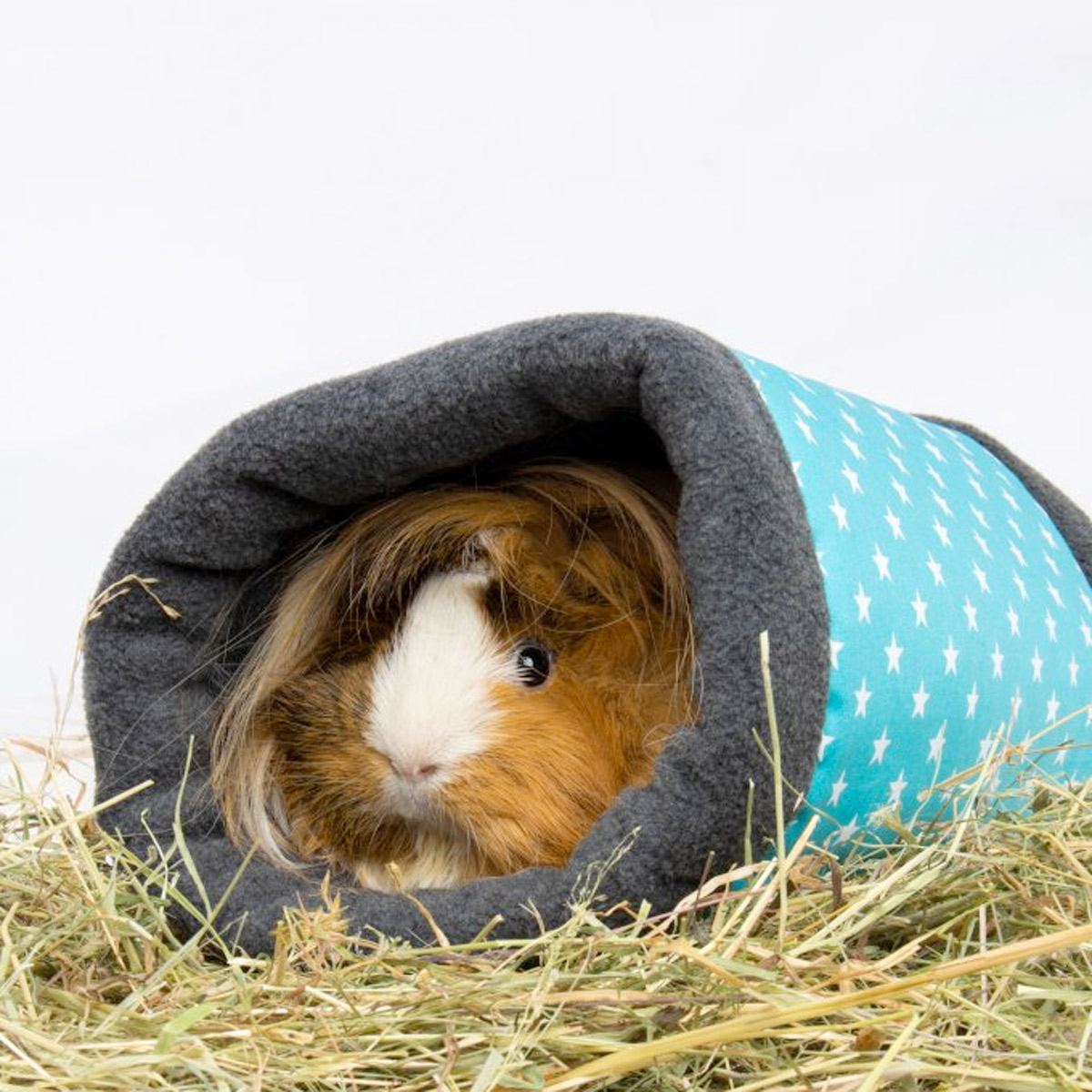 Bunny Nature Fleecy_thumbnail_2