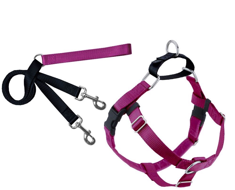 Freedom No-Pull Harness and Leash_thumbnail_3