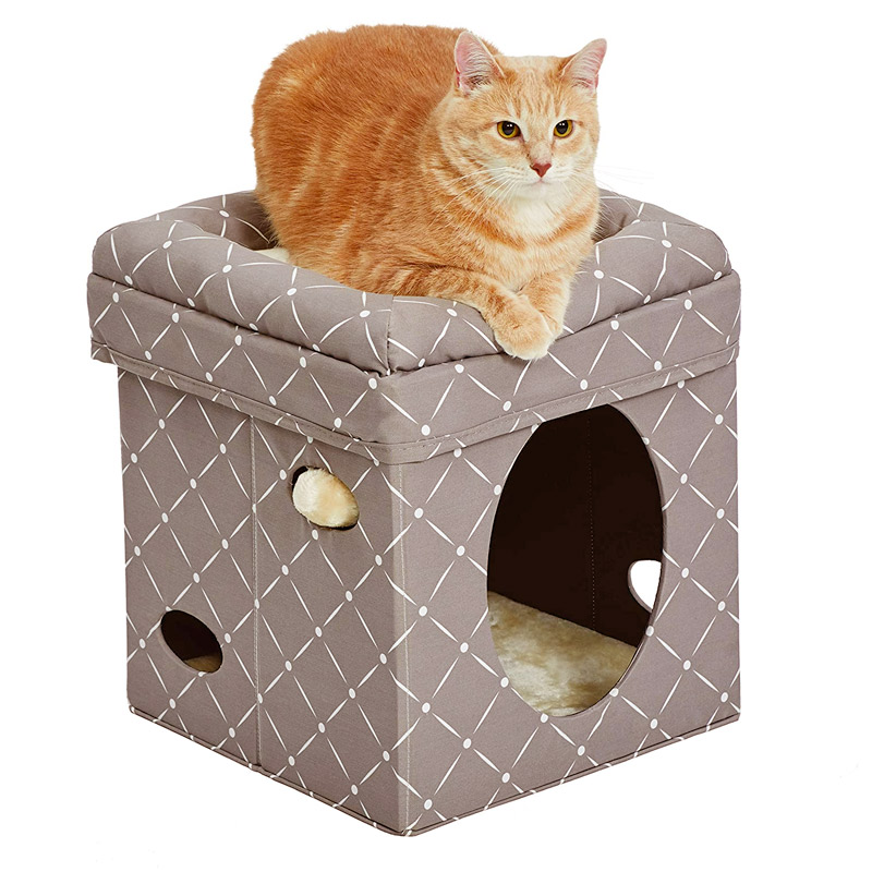 Curious Cat Cube_thumbnail_2