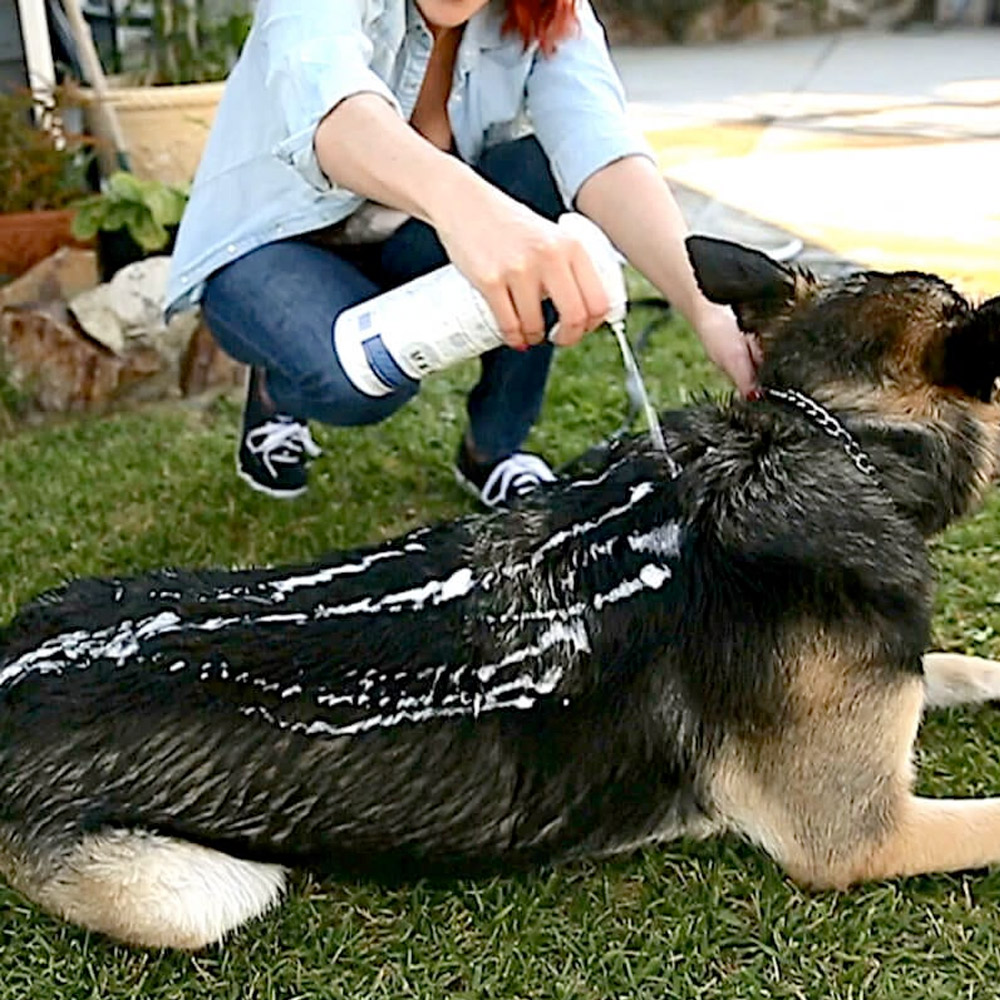 Vetericyn FoamCare® Pet Shampoo_thumbnail_1