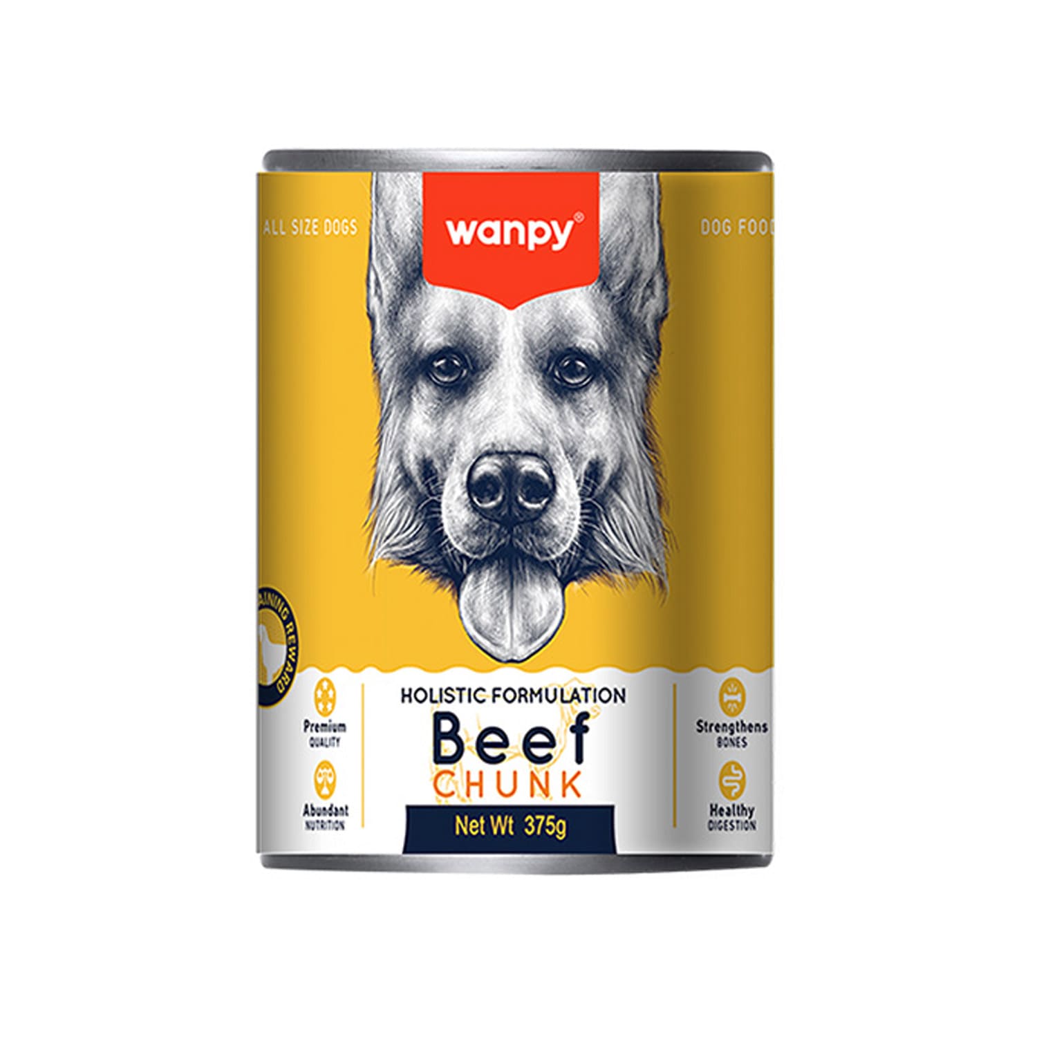 WANPY Holistic Formulation_thumbnail_0