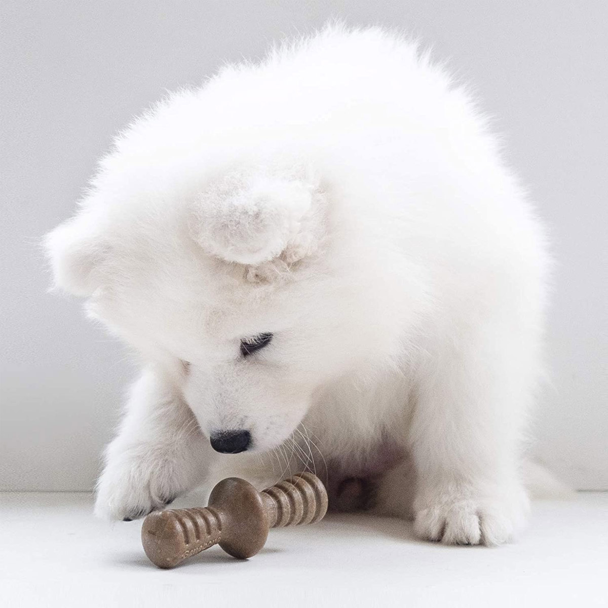 Benebone Puppy 2-Pack Maplestick/Zaggler (Tiny) - Bacon_thumbnail_2