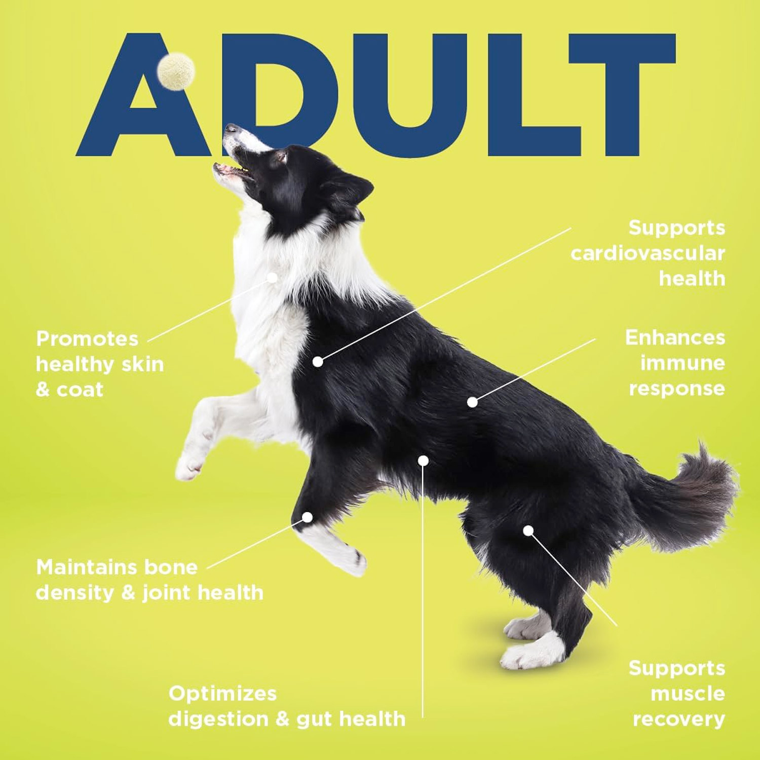 Vetericyn® ALL-IN Dog Supplement_thumbnail_2