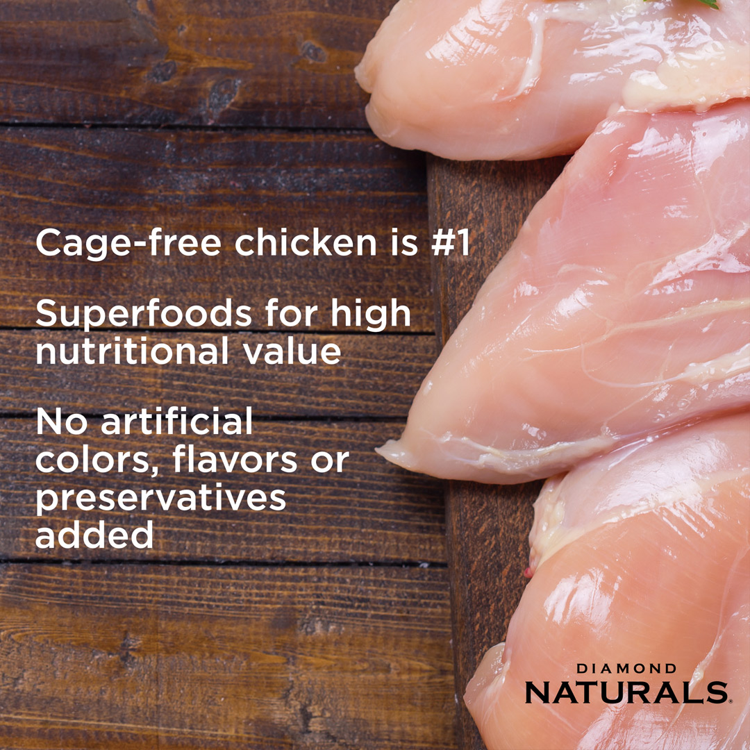 Diamond Naturals All Life stages Dog Chicken & Rice Formula - 2kg_thumbnail_2