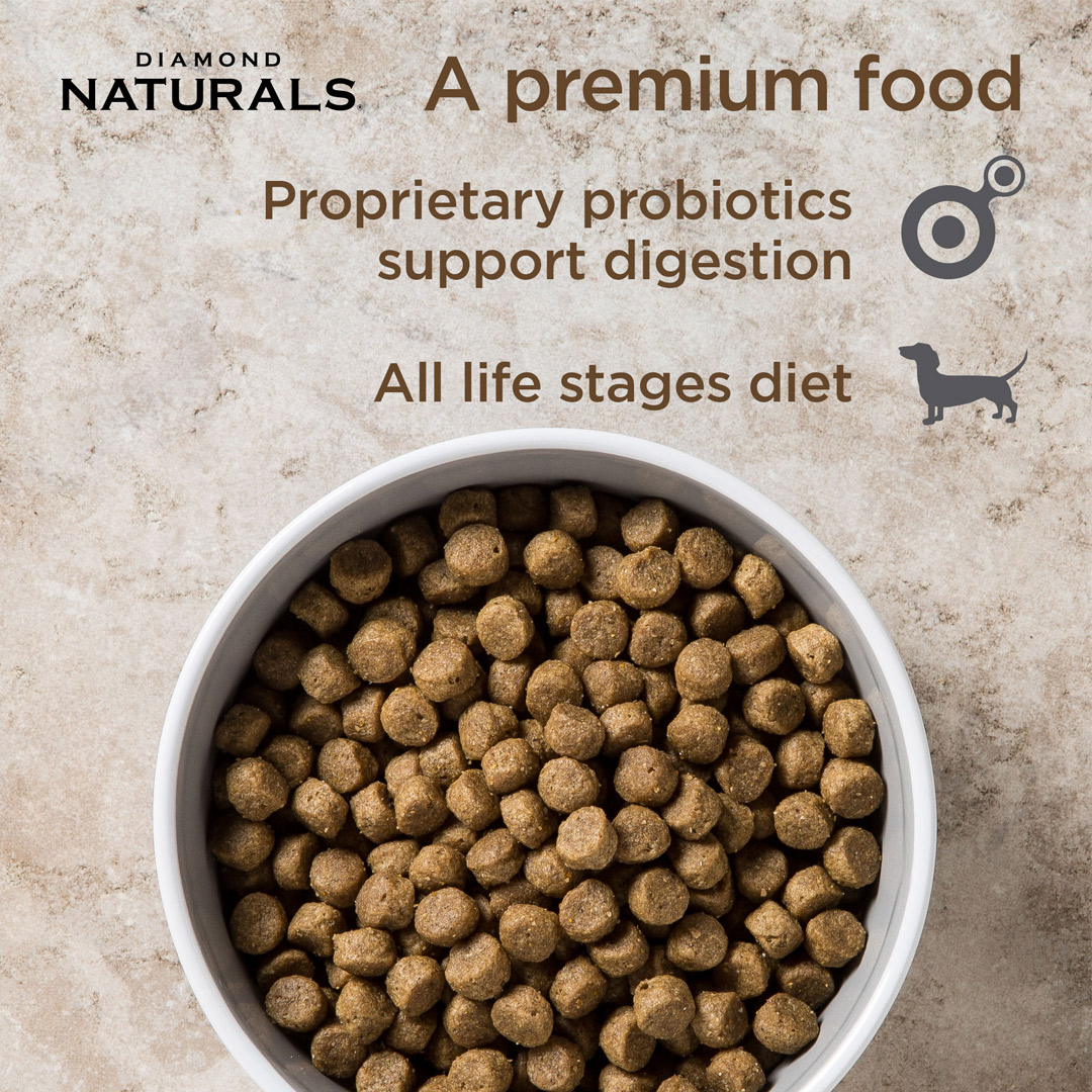 Diamond Naturals All Life stages Dog Chicken & Rice Formula - 2kg_thumbnail_1